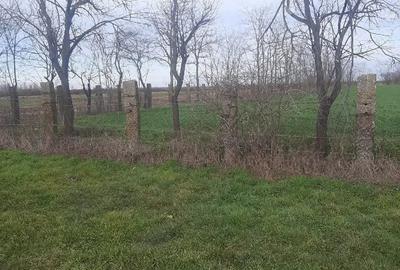 Teren de 3700 mp, în Obad - 3