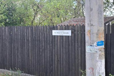 Teren de 5000 mp, în Cojești - 2