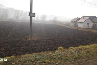 Teren de 1500 mp, în Burdujeni - 3