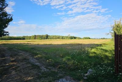 Teren de 11000 mp, în Lăceni - 6