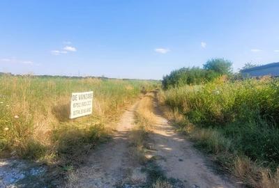 Teren Construcții intravilan de 1000 mp, în Sud - 2