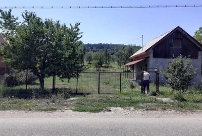 Casă cu Teren 8000 Mp în Dăbâca