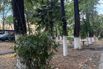 Apartament cu 2 camere semidecomandat în Podgoria