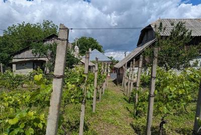 Casă cu 3 camere în Păunești - 1