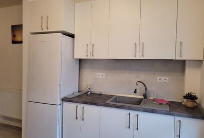 Apartament cu 2 camere semidecomandat în Lazaret - 7