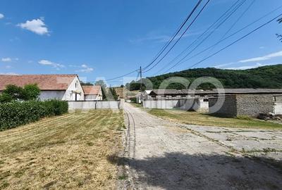 Spațiu industrial, de 8,000 mp, în Săliștea - 15