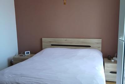 Apartament cu 2 camere decomandat în Valea Lupului - 4