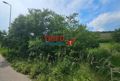 Teren de 1584 mp, în Cetate