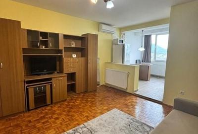 Apartament cu 2 camere în Valea Borcutului - 2