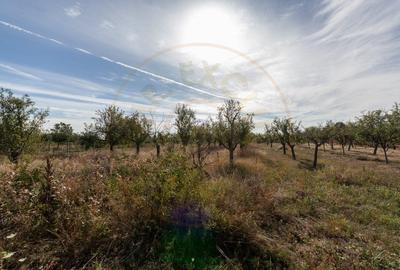 Teren agricol intravilan de 2847 mp, în Cuca - 1