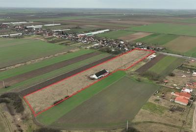 Teren Construcții intravilan de 16000 mp, în Satu Nou - 6