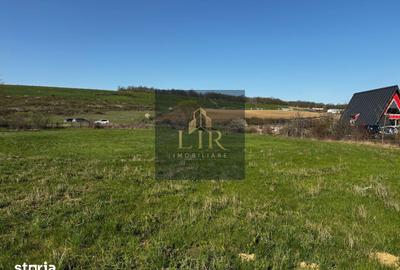 Teren de 1500 mp, în Schitu Duca - 1
