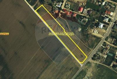 Teren de 8000 mp, în Castelu