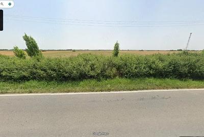 Teren de 10000 mp, în Sânmihaiu Român - 4