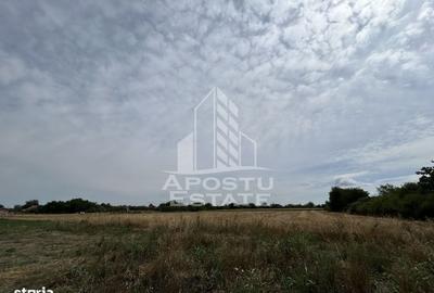 Spațiu comercial, în Parța