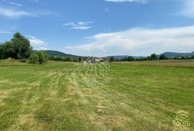 Teren agricol extravilan de 7200 mp, în Șieu-Măgheruș - 3