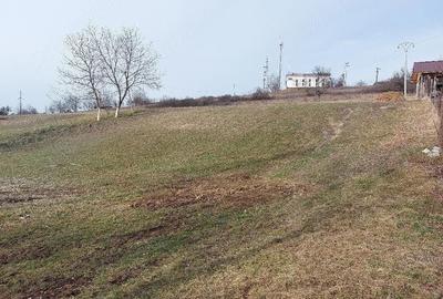 Teren de 1305 mp, în Valea Crișului - 2