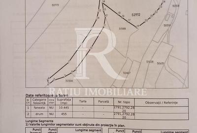 Teren de 10900 mp, în Căbești - 3