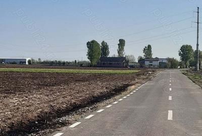 Teren de 4850 mp, în Dobreni - 8