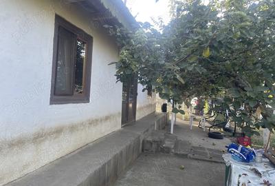 Casă cu 2 camere cu Teren 5500 Mp în Pogana - 7