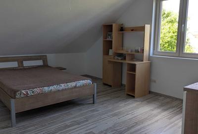 Casă cu 4 camere cu Teren 520 Mp în Vladimirescu - 2