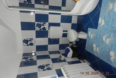 Casă cu 4 camere în Paltin - 4
