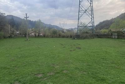 Spațiu comercial, în Dragoslavele - 4