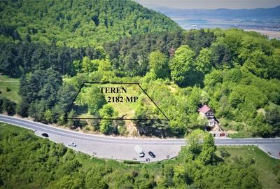Teren Construcții intravilan de 2182 mp, în Drumul Poienii - 5