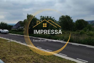 Teren de 6000 mp, în Ipotești