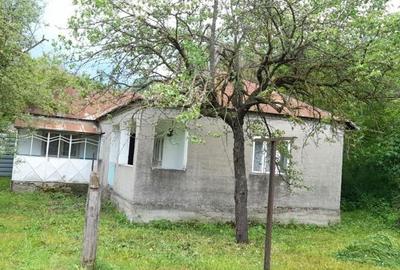 Casă cu 4 camere cu Teren 5574 Mp în Vulcăneasa - 3