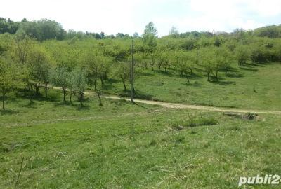Teren de 950 mp, în Dealul Malului