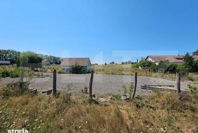 Teren de 4000 mp, în Pianu