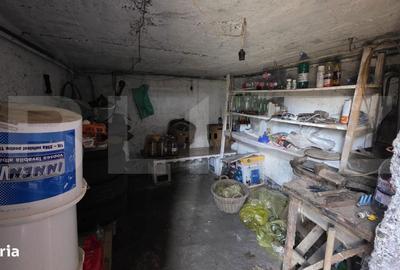 Casă cu 3 camere în Nazna - 10