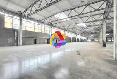 Spațiu industrial, de 6,000 mp, în Astra - 2