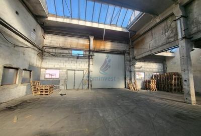 Spațiu industrial, de 1,000 mp, în Rogerius
