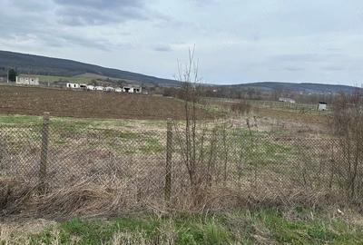 Teren de 660 mp, în Plavia