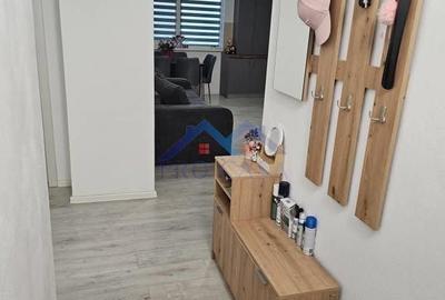 Apartament cu 2 camere în Ampoi 3