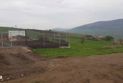 Teren de 750 mp, în Baciu - 3