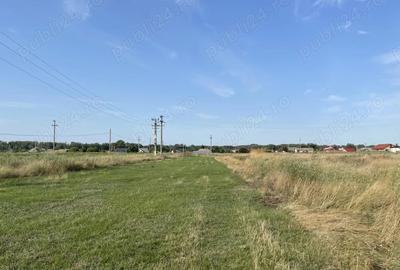 Teren de 3000 mp, în Țuțora - 3
