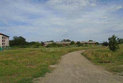 Teren Construcții intravilan de 15000 mp, în Micălaca - 8