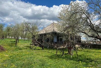 Teren intravilan de 4872 mp, în Antoceni