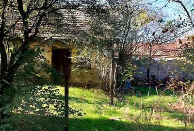 Teren de 900 mp, în Cetate - 3