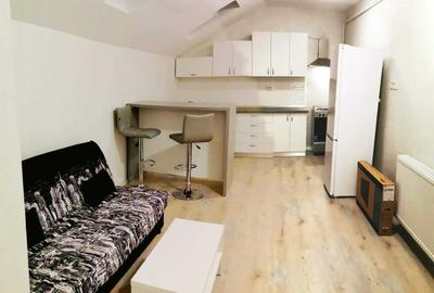 Apartament cu 2 camere semidecomandat în Valea Lupului