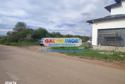 Spațiu comercial, în Priseaca - 12