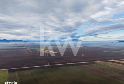 Teren de 16000 mp, în Hărmanului - 5