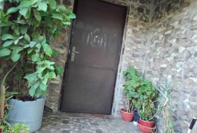 Casă cu 4 camere în Bordei