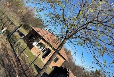 Teren de 2200 mp, în Milcoiu - 7