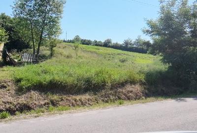 Teren agricol intravilan de 5421 mp, în Negrești (Dobreni) - 8