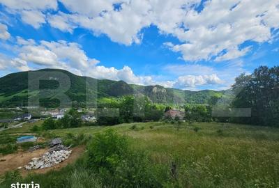 Casă cu 4 camere cu Teren 1000 Mp în Lupșa - 5
