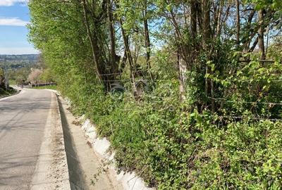 Teren Construcții intravilan de 4905 mp, în Albeștii de Muscel - 7